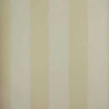 Papel de Parede - Coleção Classic Stripes  - CT889009