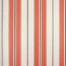 Papel de Parede - Coleção Classic Stripes  - CT889100