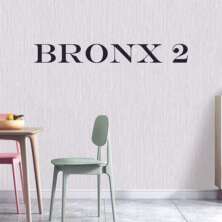 Bronx 2